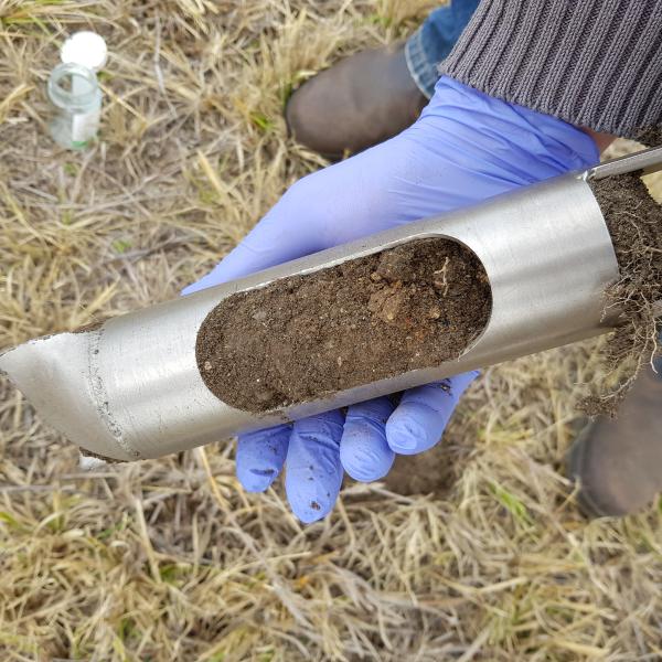 Contaminated Land Investigation at Warwick Railway